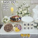 떡미당 | 가성비 돌상떡상차림 떡미당 후기