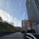 황금능선 | 광주 금당산! 도심 속에서 만나는 아름다운 능선과 가을 정취 (12월 1일 등산 후기)