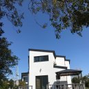 제주달곰 이미지