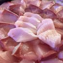 육사시미 콘서트 2 | 잠실/방이동 맛집 [파도집 잠실본점] 방어회 내돈내산 후기 (ft. 평일 금요일 웨이팅 되돌리기)