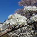 신기마을회관 이미지