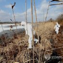 미정농장 이미지