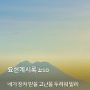 [중보기도요청] 2024년10월30일(수) 이미지