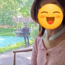 (주)플루엔 | 8월 치앙마이여행 준비물 날씨 여행코스 깨알팁