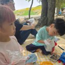 한국체대 봄 태권도장 이미지