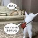 부안제빵소 이미지