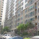 이단지비디오 이미지