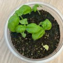 플래닛허브 주식회사 | 꼬따꼬뜨플래닛 차량용티슈 꼬포터즈2기 제품추천