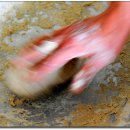 봉평메밀꽃막국수 이미지