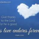 Everlastin 이미지