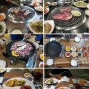 법무법인오아시스