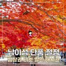 가평역 관광안내소 | 춘천 남이섬 단풍 절정 시기 입장권 티켓 할인 배시간 총정리