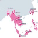 판다푸드 이미지