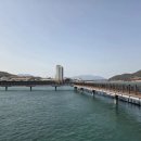 파랑새펜션 네이버블로그