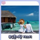 신박공인중개사사무소 네이버블로그