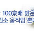 백서로 티스토리