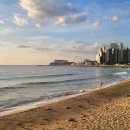 청호동 신수로 이미지