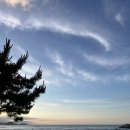 어퍼이스트피자클럽양양