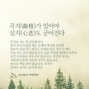 심지 이미지
