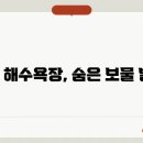 백도해변민박