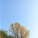 상록수역 2번출구 이미지