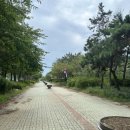 정보과학고 건너 이미지