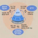 성결대학교 이미지