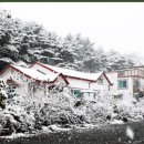 솔바다펜션민박 이미지