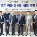 에이스종돈 이미지