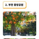 7호선 부천시청역 [부천중앙공원 ] 이미지