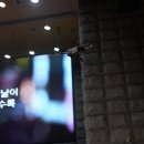 다미디어