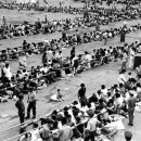 금천초교 이미지