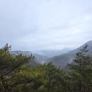 충북 영동 | 천태산 &amp; 금강둘레길 산책 코스 블로그 후기 이미지