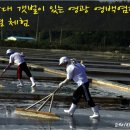 동백쉐이리 이미지