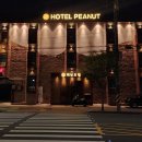피넛호텔 이미지