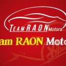 팀라온모터스 이미지