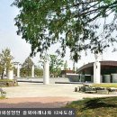 솔뫼성지 소나무 이미지