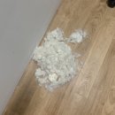 복골온천 애견스파 네이버블로그
