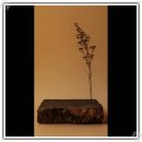 광교한의원 이미지