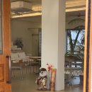 참한우 | 상주 카페곧감 테슬라 슈퍼차저 연꽃참한우 후기