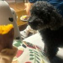 원석호구강악안면외과치과의원 | 햄부기온앤온