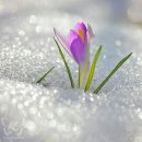 담주초등학교 이미지