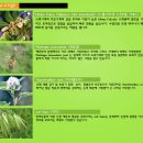 팅크 이미지