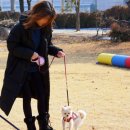 보정동물병원 이미지