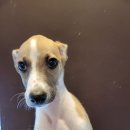 수원-0070 이미지