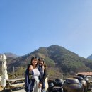 반디민박 이미지