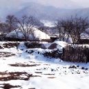 설마 이미지