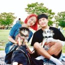 예은결혼정보 이미지