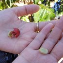 외딴농장 이미지