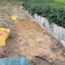 오원농장 이미지